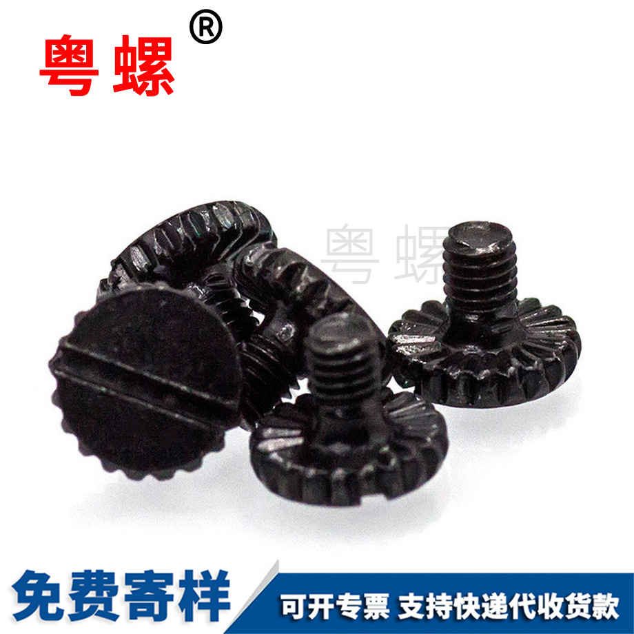 定制黑色迪慶一字槽螺絲