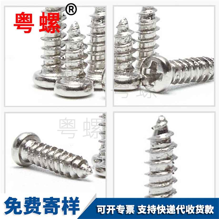 迪慶圓頭迪慶自攻螺釘 迪慶圓頭迪慶自攻螺釘