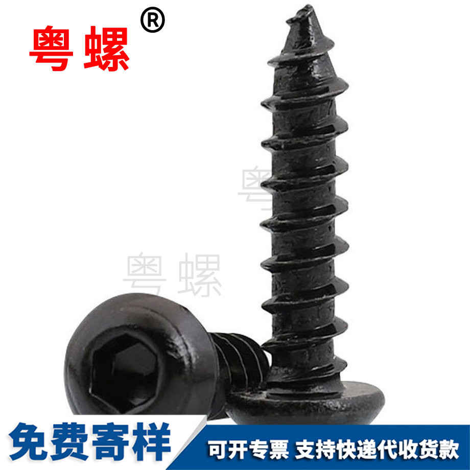 定做內西雙版納六角螺絲