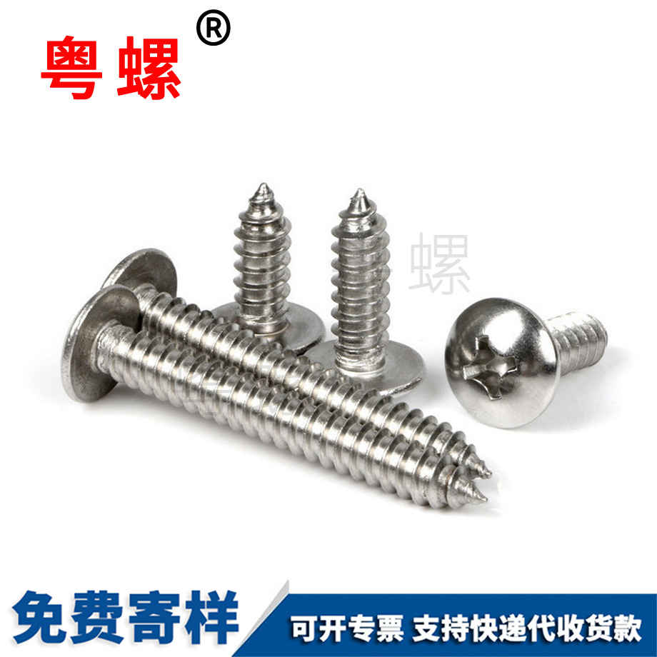 西雙版納西雙版納大扁頭西雙版納自攻螺絲 西雙版納西雙版納大扁頭西雙版納自攻螺絲