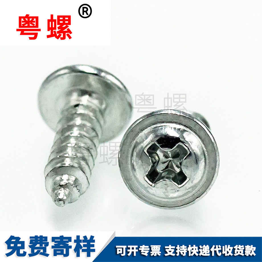 帶介尖尾 帶介尖尾