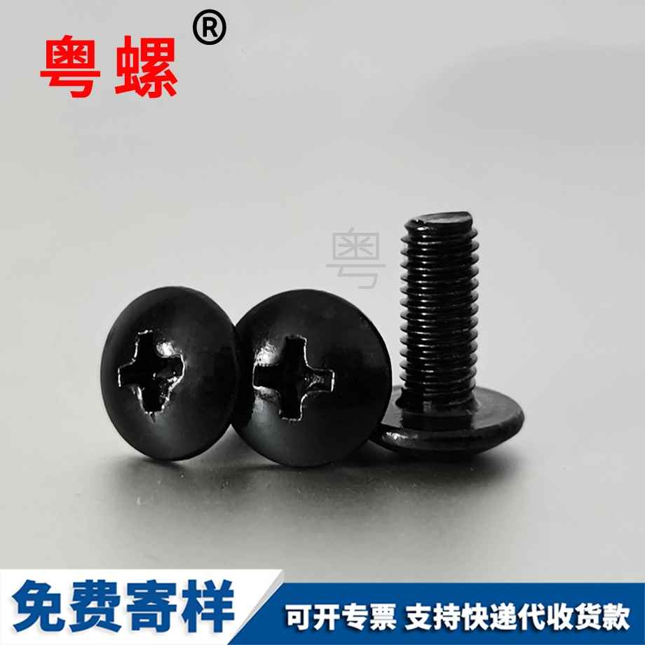 拉薩大扁頭螺絲 拉薩大扁頭螺絲