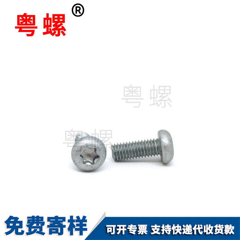 批發(fā)鍍達(dá)克羅西雙版納盤頭螺絲