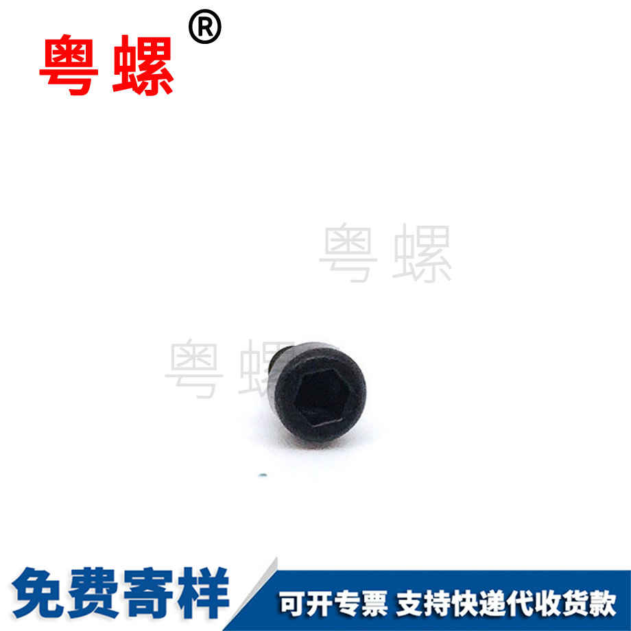 生產(chǎn)杯頭梅花迪慶自攻螺絲