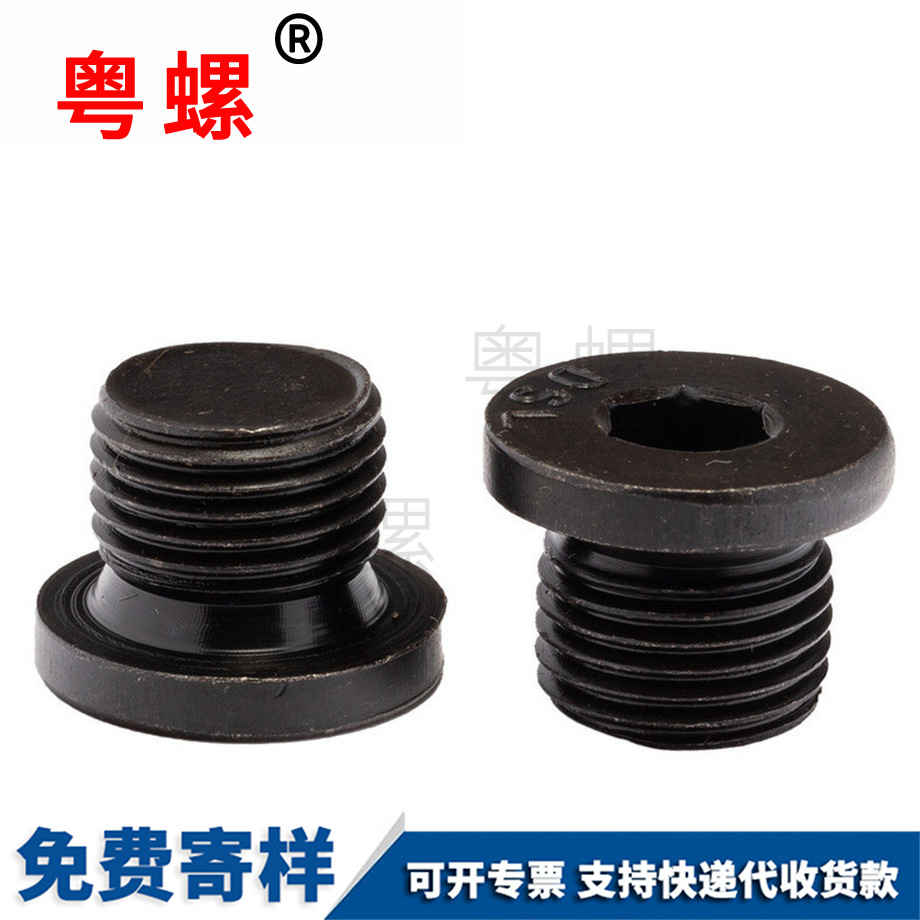 生產(chǎn)內(nèi)六角法蘭面迪慶堵頭