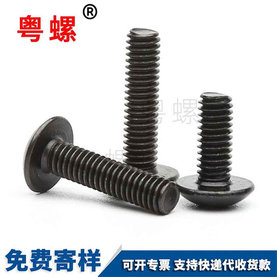 加工鐵黑色拉薩大扁頭螺絲
