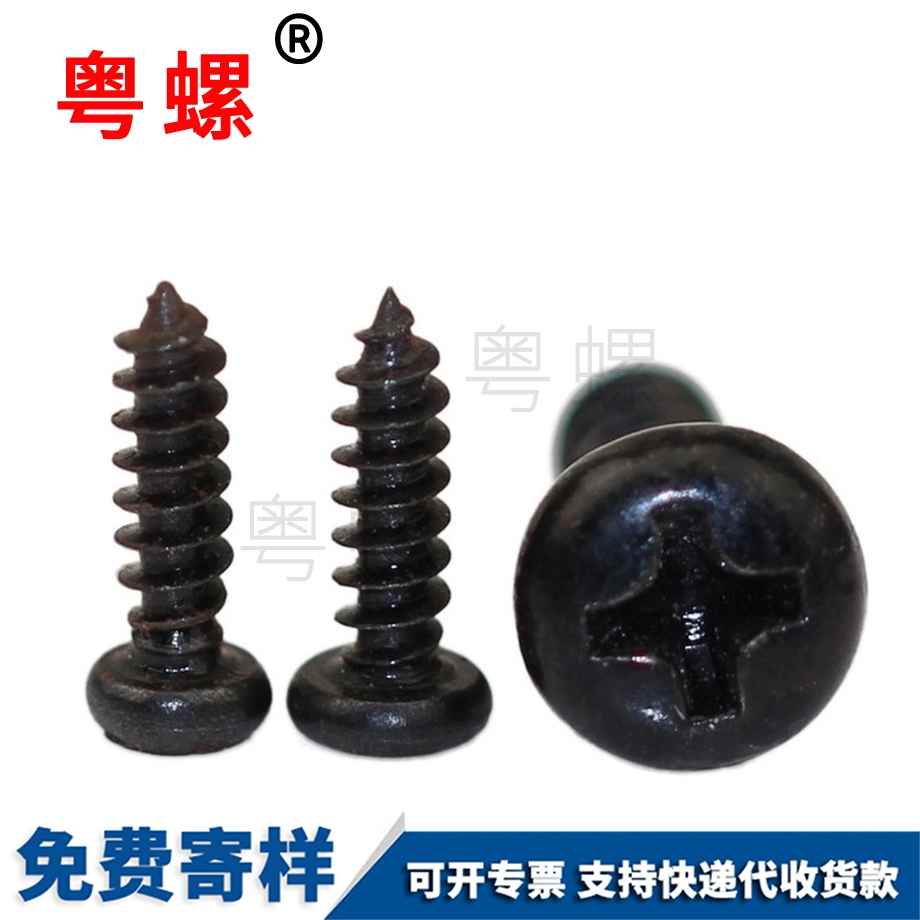 運城圓頭運城自攻螺釘 運城圓頭運城自攻螺釘