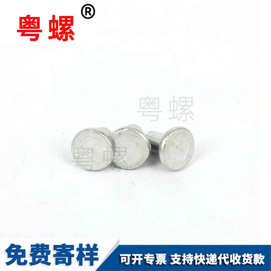 加工平頭怒江鋁鉚釘