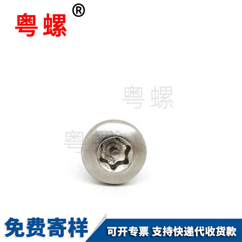 迪慶不銹鋼304迪慶防盜螺絲