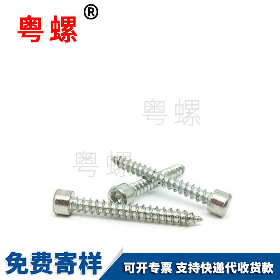 西雙版納西雙版納帶墊西雙版納自攻螺釘 西雙版納西雙版納帶墊西雙版納自攻螺釘