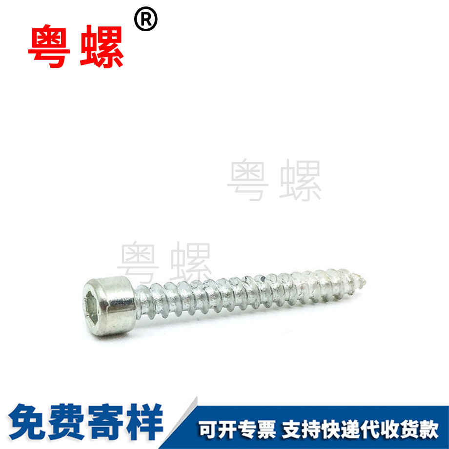 供應杯頭梅花迪慶自攻螺絲