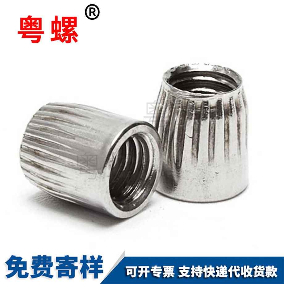 西雙版納錐形螺母