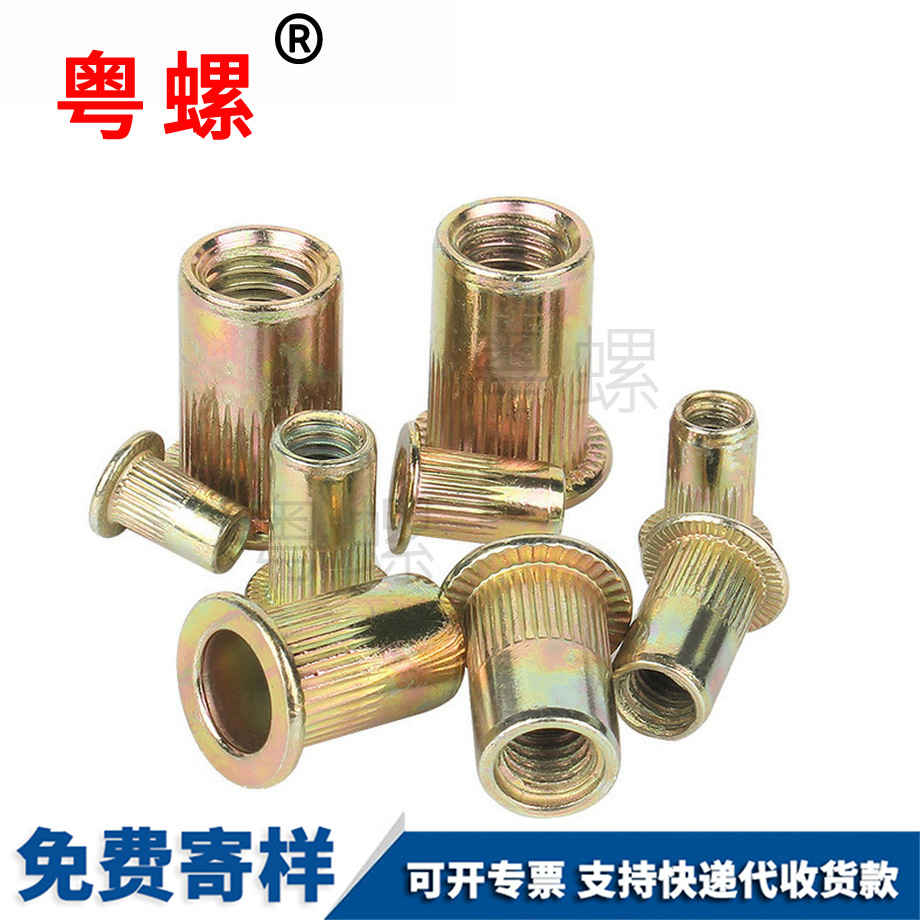 迪慶平頭迪慶拉鉚螺母 迪慶平頭迪慶拉鉚螺母