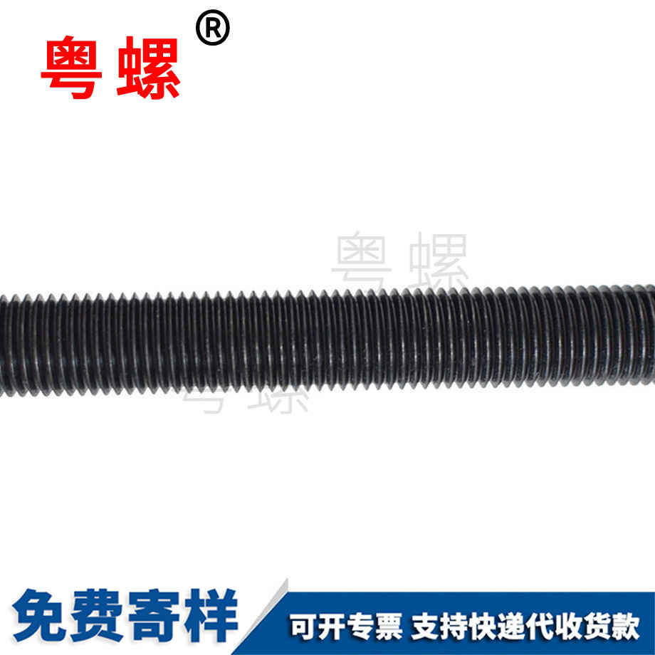 高強(qiáng)度迪慶絲桿