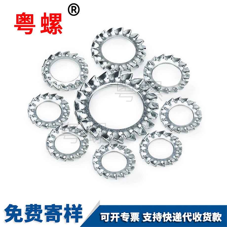 迪慶鎖緊墊圈 迪慶鎖緊墊圈