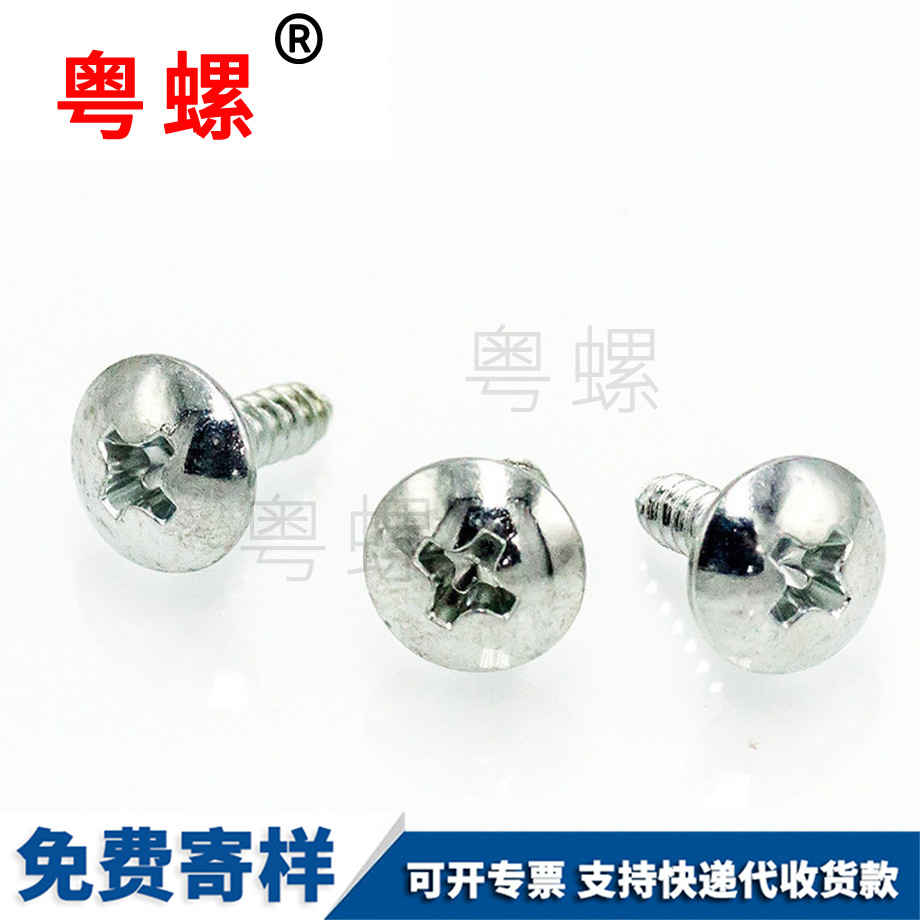 定做大扁頭大頭西雙版納自攻釘